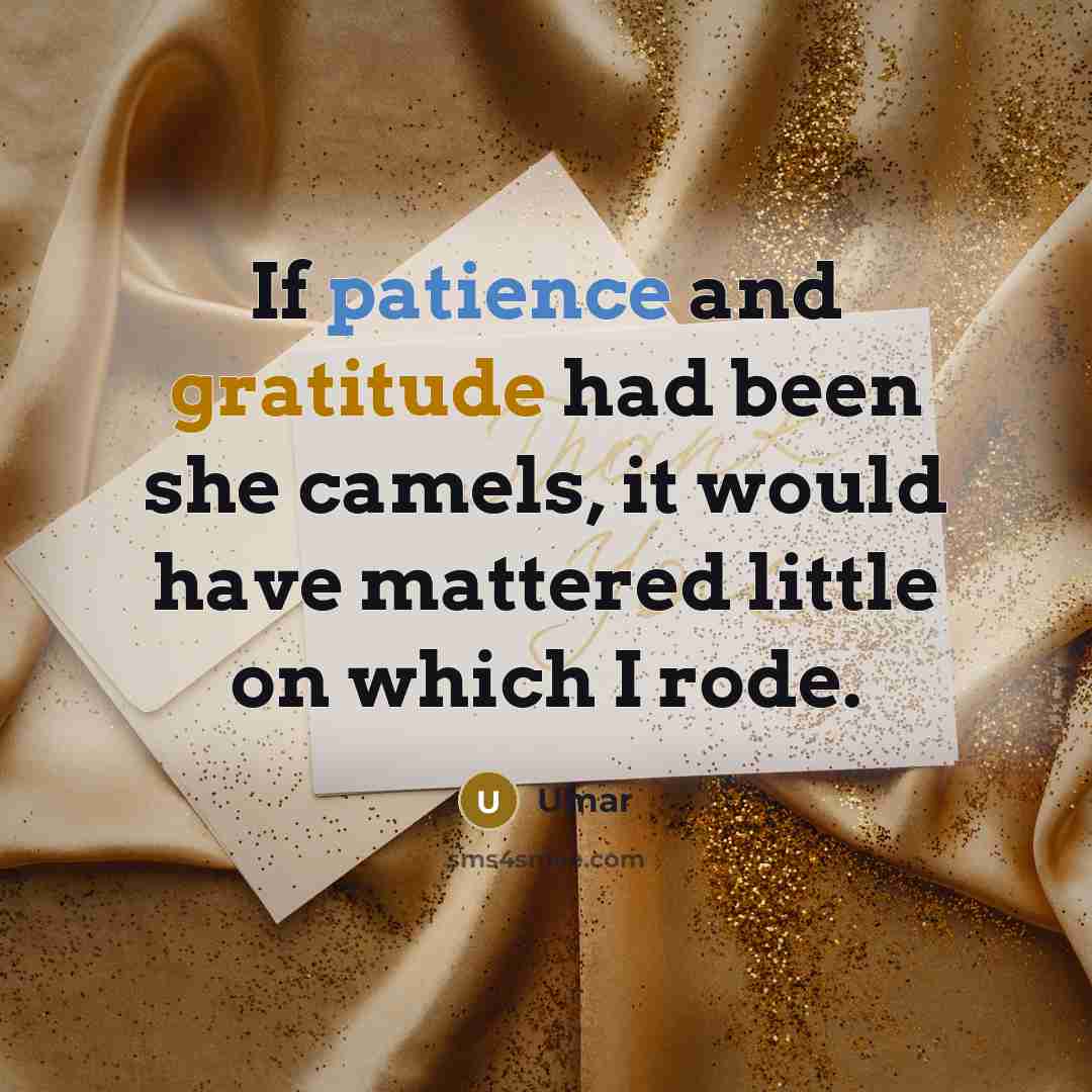 “If patience and gratitude had been she camels, it would have mattered little on which I rode.” quote by Umar