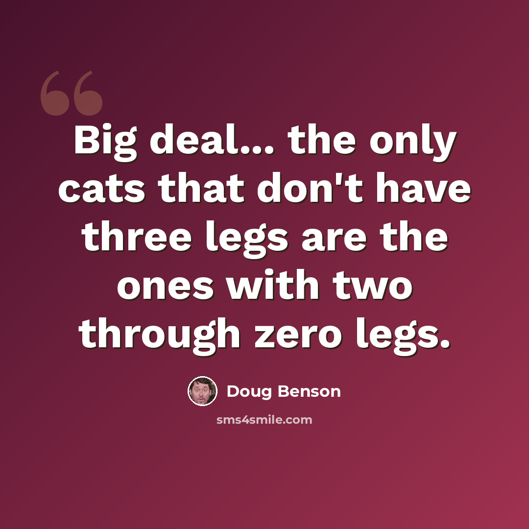 “Big deal... the only cats that don't have three legs are the ones with two through zero legs.” quote by Doug Benson