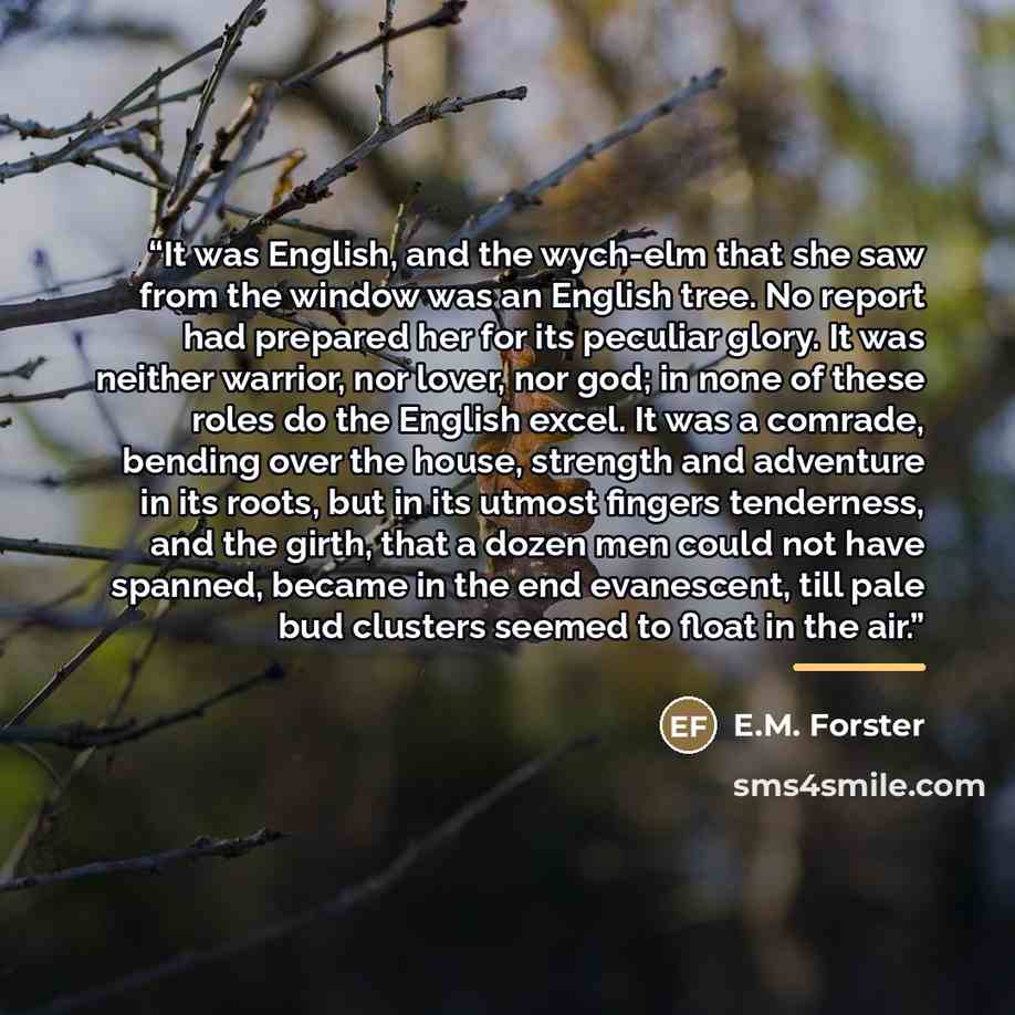 “It was English, and the wych-elm that she saw from the window was an English tree. No report had prepared her for its peculiar glory. It was neither warrior, nor lover, nor god; in none of these roles do the English excel. It was a comrade, bending over the house, strength and adventure in its…” quote by E.M. Forster