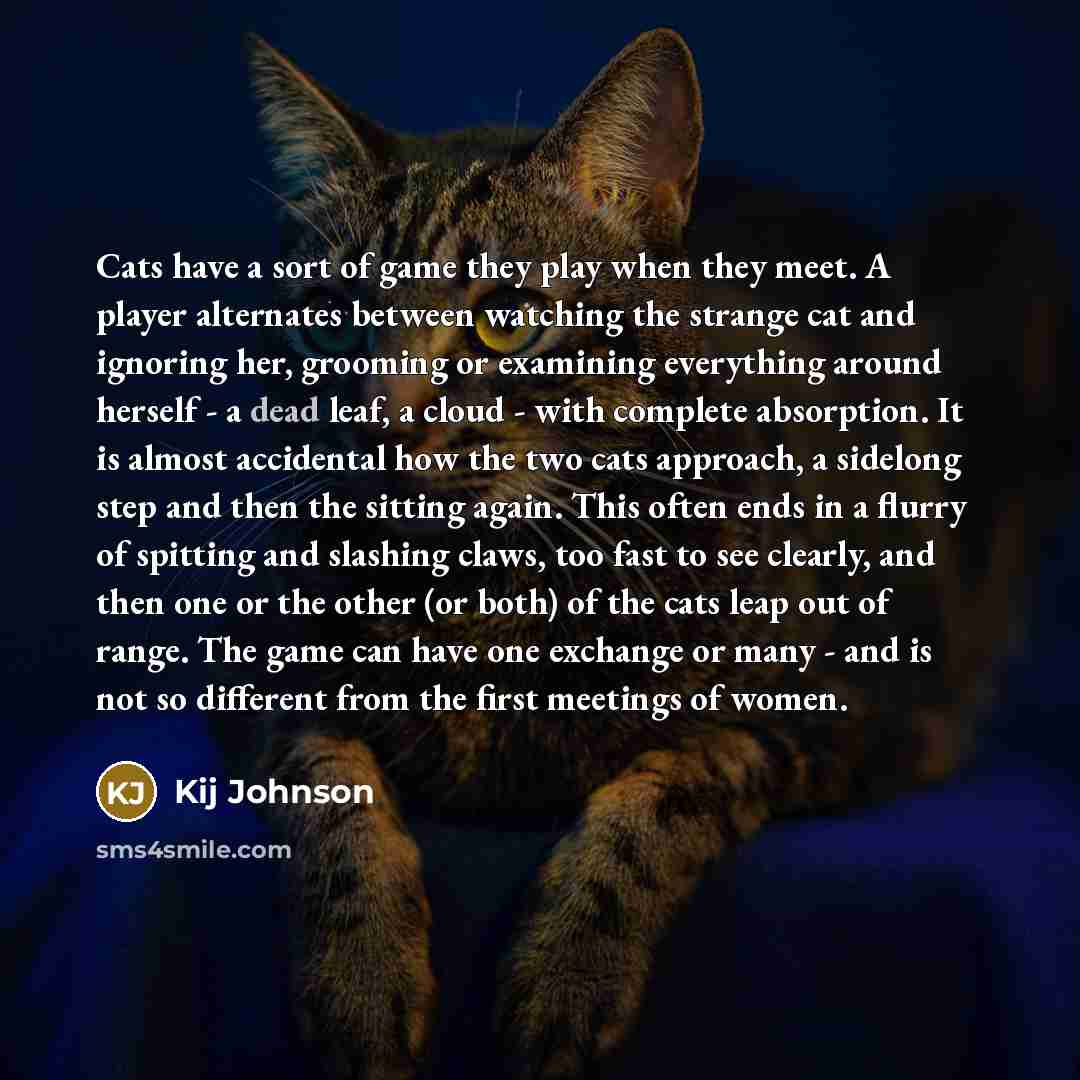 “Cats have a sort of game they play when they meet. A player alternates between watching the strange cat and ignoring her, grooming or examining everything around herself - a dead leaf, a cloud - with complete absorption. It is almost accidental how the two cats approach, a sidelong step and then…” quote by Kij Johnson