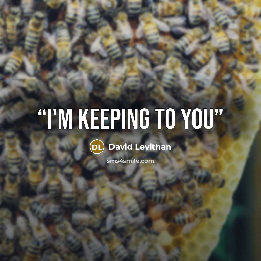 “I'm keeping to you” quote by David Levithan