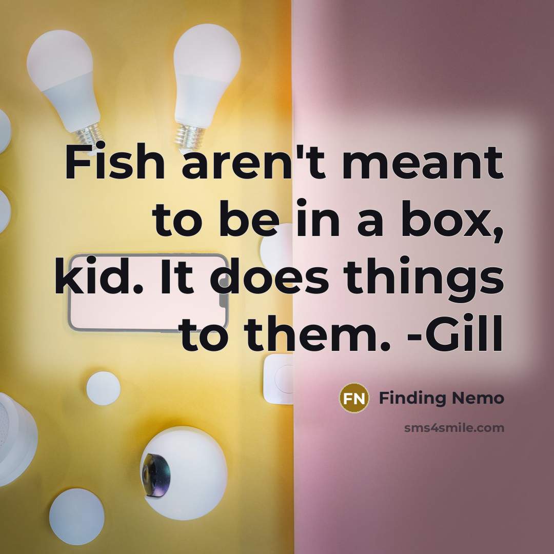 “Fish aren't meant to be in a box, kid. It does things to them. -Gill” quote by Finding Nemo