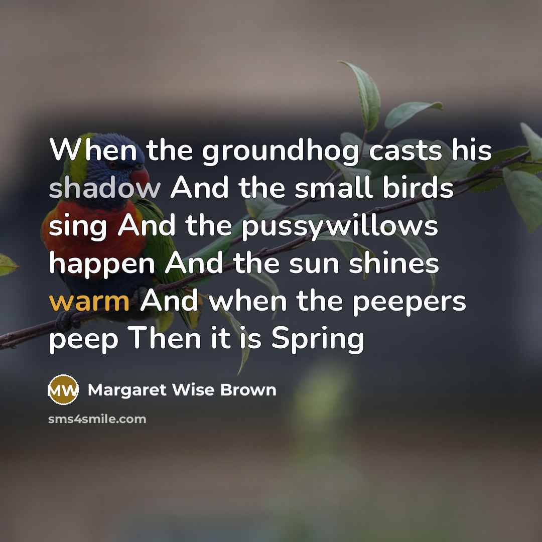“When the groundhog casts his shadow And the small birds sing And the pussywillows happen And the sun shines warm And when the peepers peep Then it is Spring” quote by Margaret Wise Brown