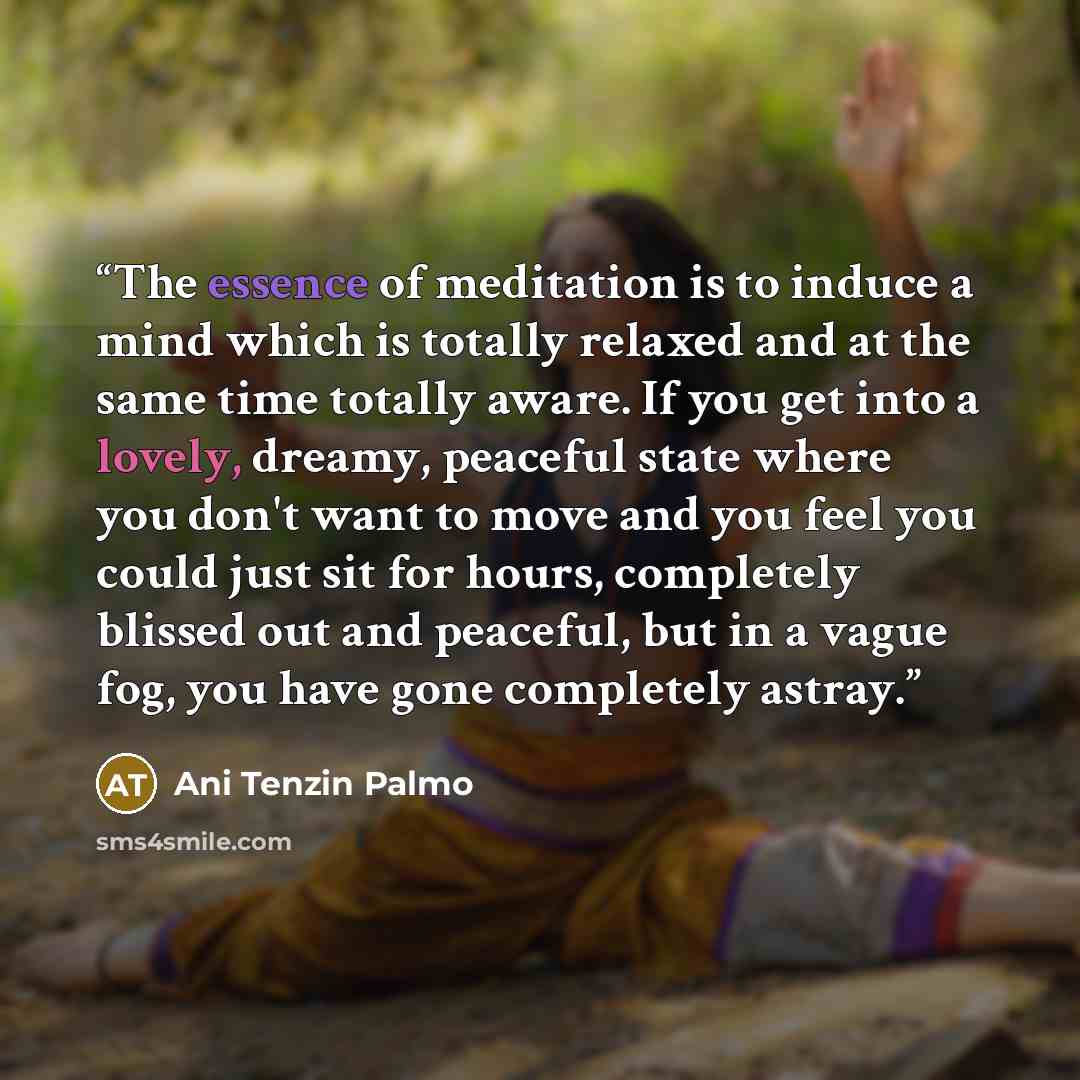 “The essence of meditation is to induce a mind which is totally relaxed and at the same time totally aware. If you get into a lovely, dreamy, peaceful state where you don't want to move and you feel you could just sit for hours, completely blissed out and peaceful, but in a vague fog, you have gone…” quote by Ani Tenzin Palmo