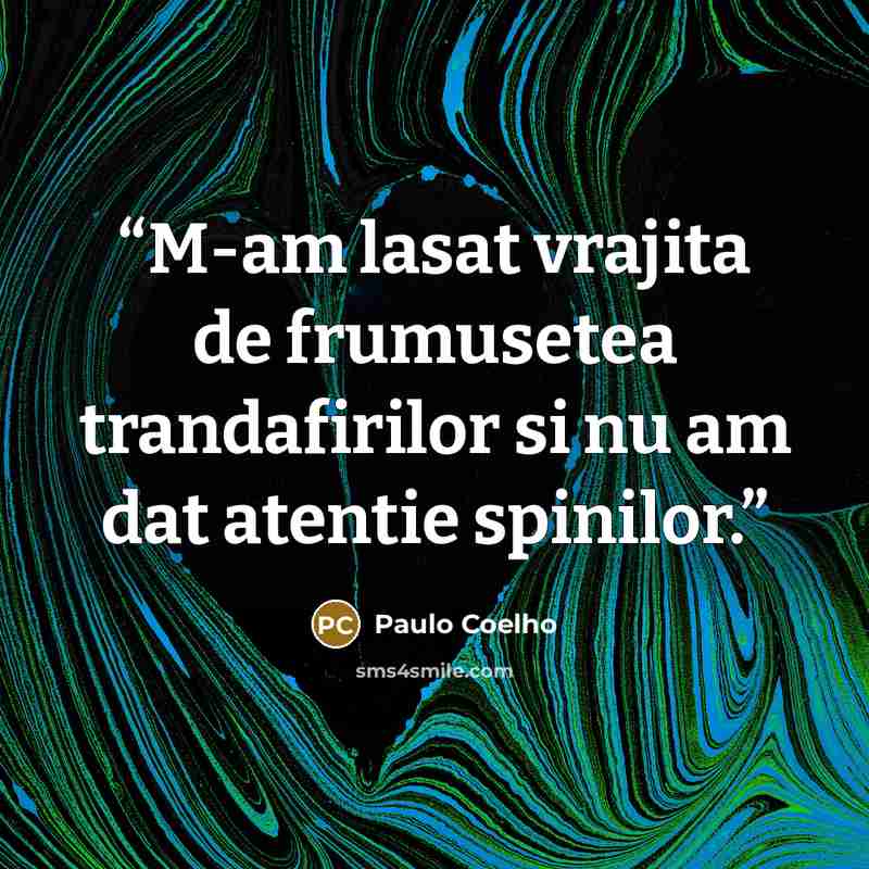 “M-am lasat vrajita de frumusetea trandafirilor si nu am dat atentie spinilor.” quote by Paulo Coelho