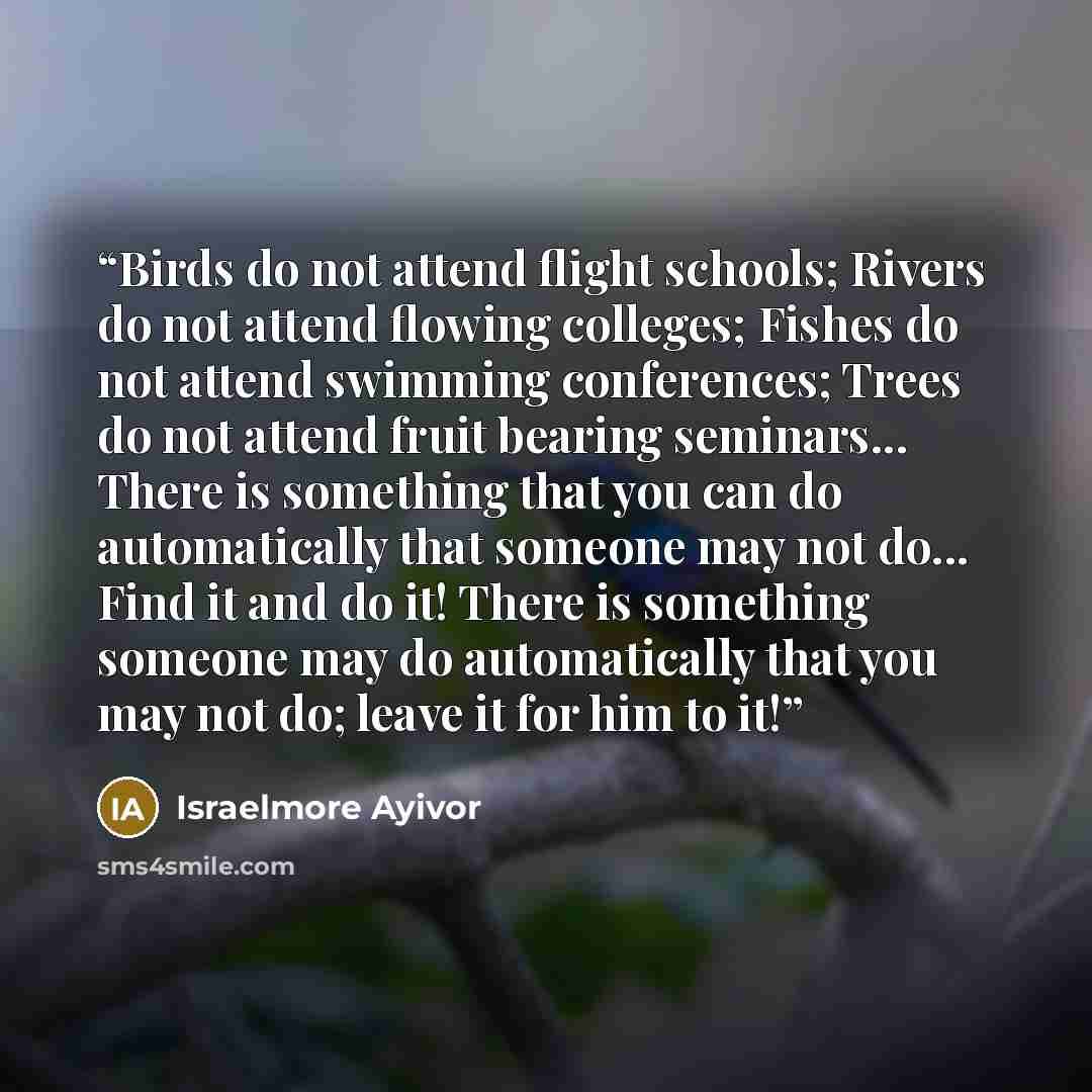 “Birds do not attend flight schools; Rivers do not attend flowing colleges; Fishes do not attend swimming conferences; Trees do not attend fruit bearing seminars... There is something that you can do automatically that someone may not do... Find it and do it! There is something someone may do…” quote by Israelmore Ayivor