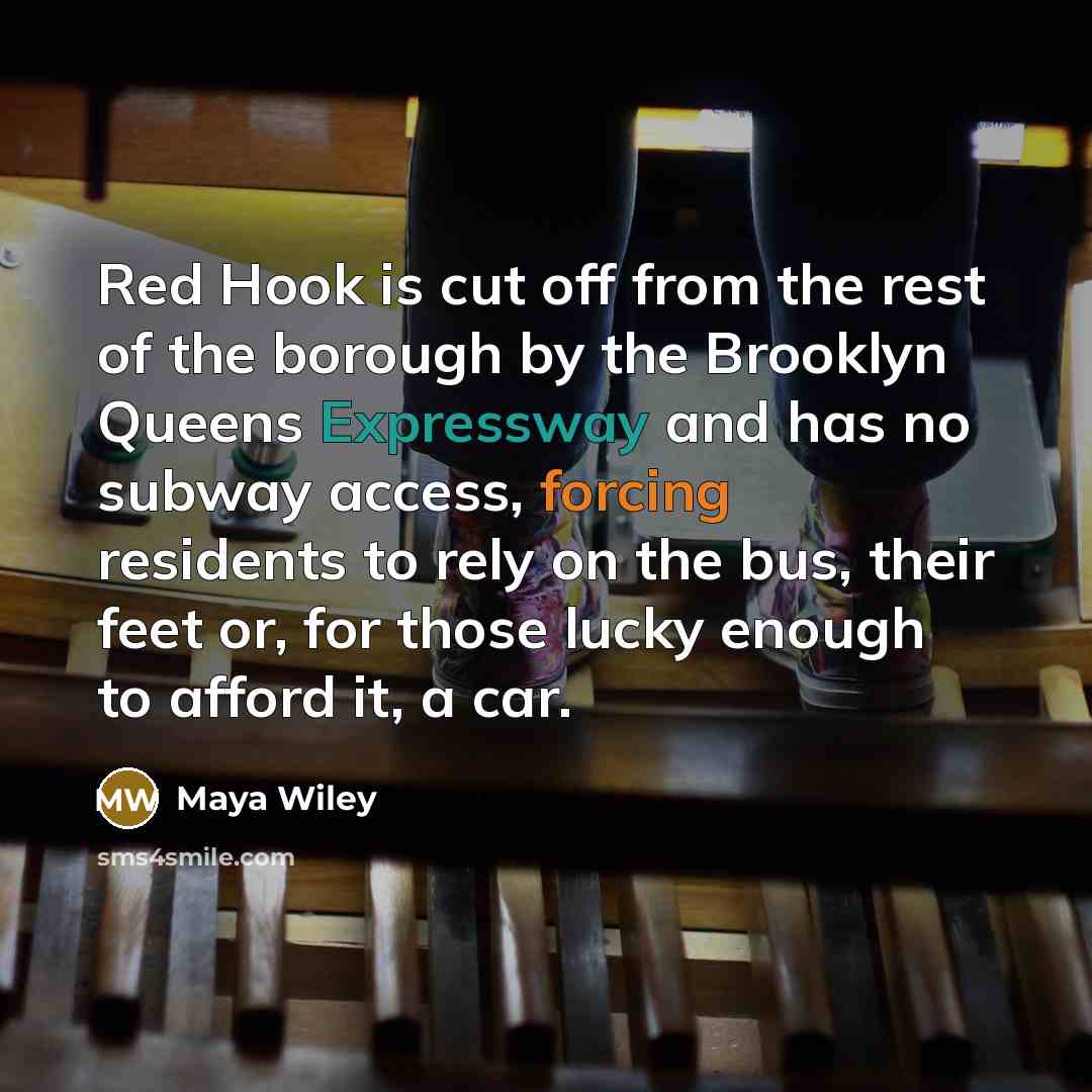 “Red Hook is cut off from the rest of the borough by the Brooklyn Queens Expressway and has no subway access, forcing residents to rely on the bus, their feet or, for those lucky enough to afford it, a car.” quote by Maya Wiley