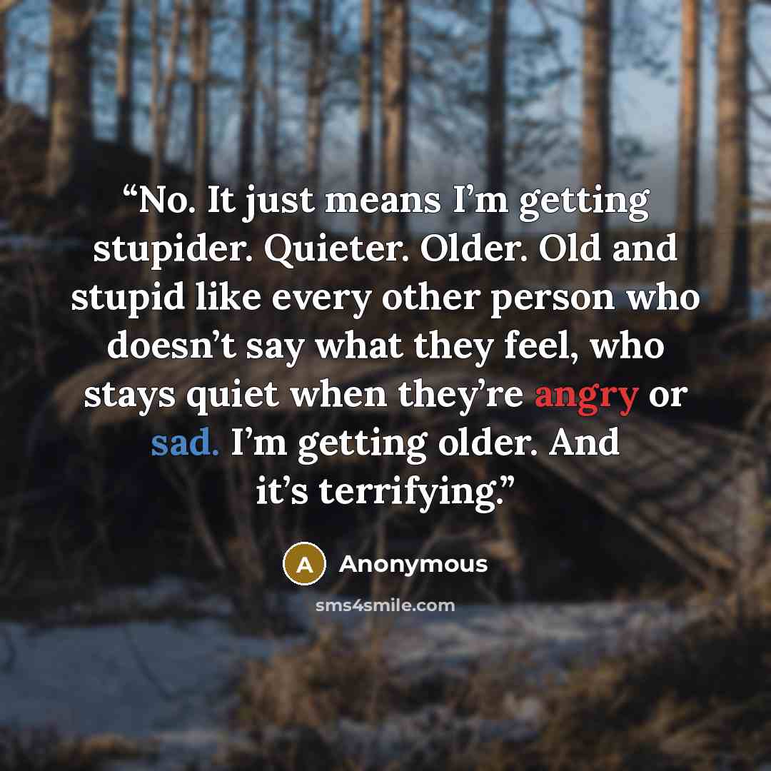 “No. It just means I’m getting stupider. Quieter. Older. Old and stupid like every other person who doesn’t say what they feel, who stays quiet when they’re angry or sad. I’m getting older. And it’s terrifying.” quote by Anonymous
