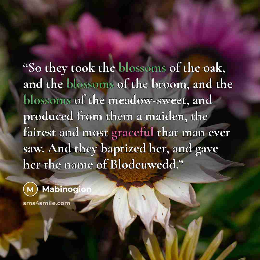 “So they took the blossoms of the oak, and the blossoms of the broom, and the blossoms of the meadow-sweet, and produced from them a maiden, the fairest and most graceful that man ever saw. And they baptized her, and gave her the name of Blodeuwedd.” quote by Mabinogion