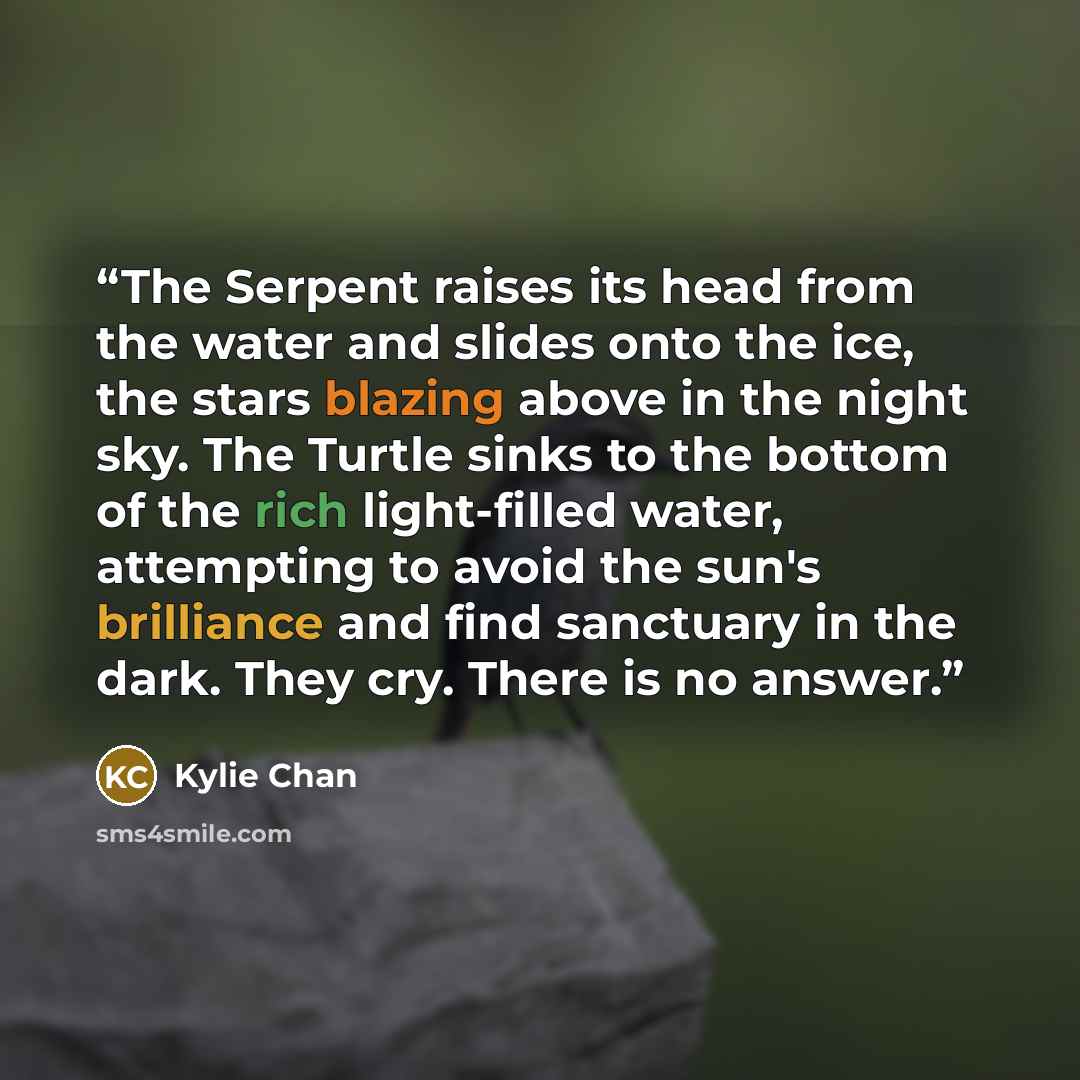 “The Serpent raises its head from the water and slides onto the ice, the stars blazing above in the night sky. The Turtle sinks to the bottom of the rich light-filled water, attempting to avoid the sun's brilliance and find sanctuary in the dark. They cry. There is no answer.” quote by Kylie Chan