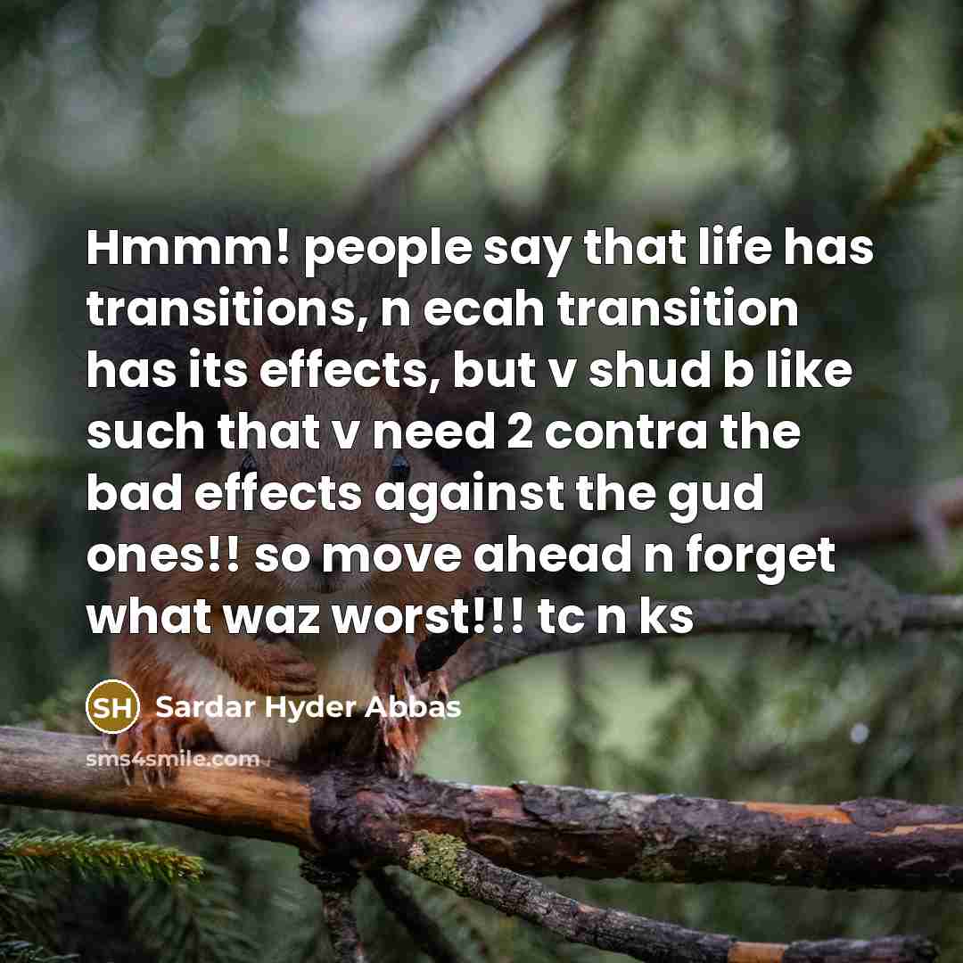 “Hmmm! people say that life has transitions, n ecah transition has its effects, but v shud b like such that v need 2 contra the bad effects against the gud ones!! so move ahead n forget what waz worst!!! tc n ks” quote by Sardar Hyder Abbas