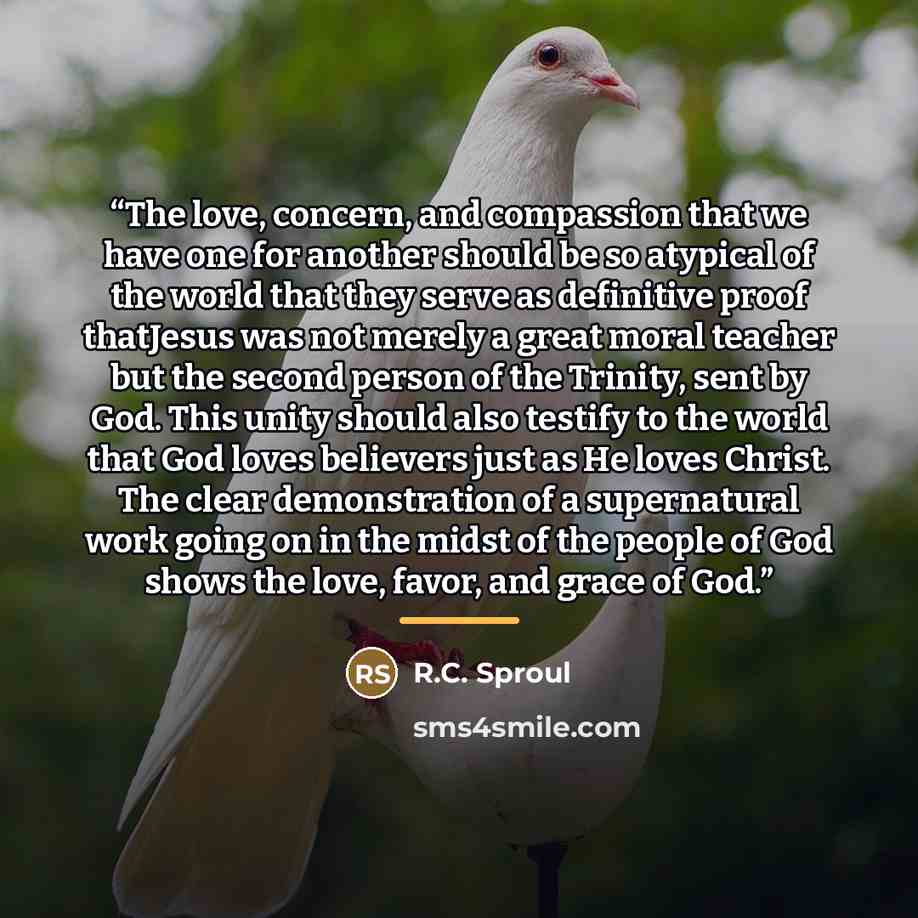 “The love, concern, and compassion that we have one for another should be so atypical of the world that they serve as definitive proof thatJesus was not merely a great moral teacher but the second person of the Trinity, sent by God. This unity should also testify to the world that God loves…” quote by R.C. Sproul