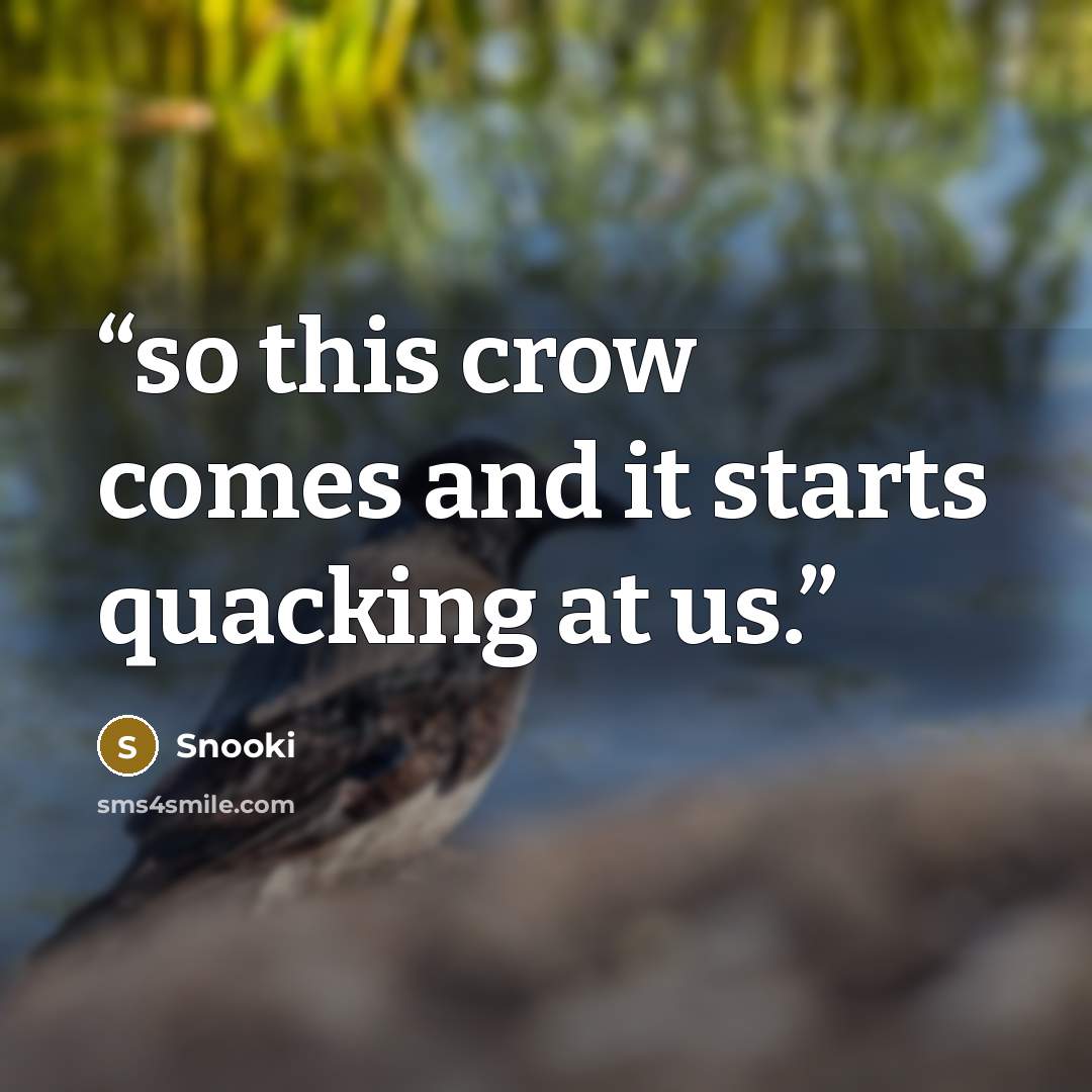 “so this crow comes and it starts quacking at us.” quote by Snooki