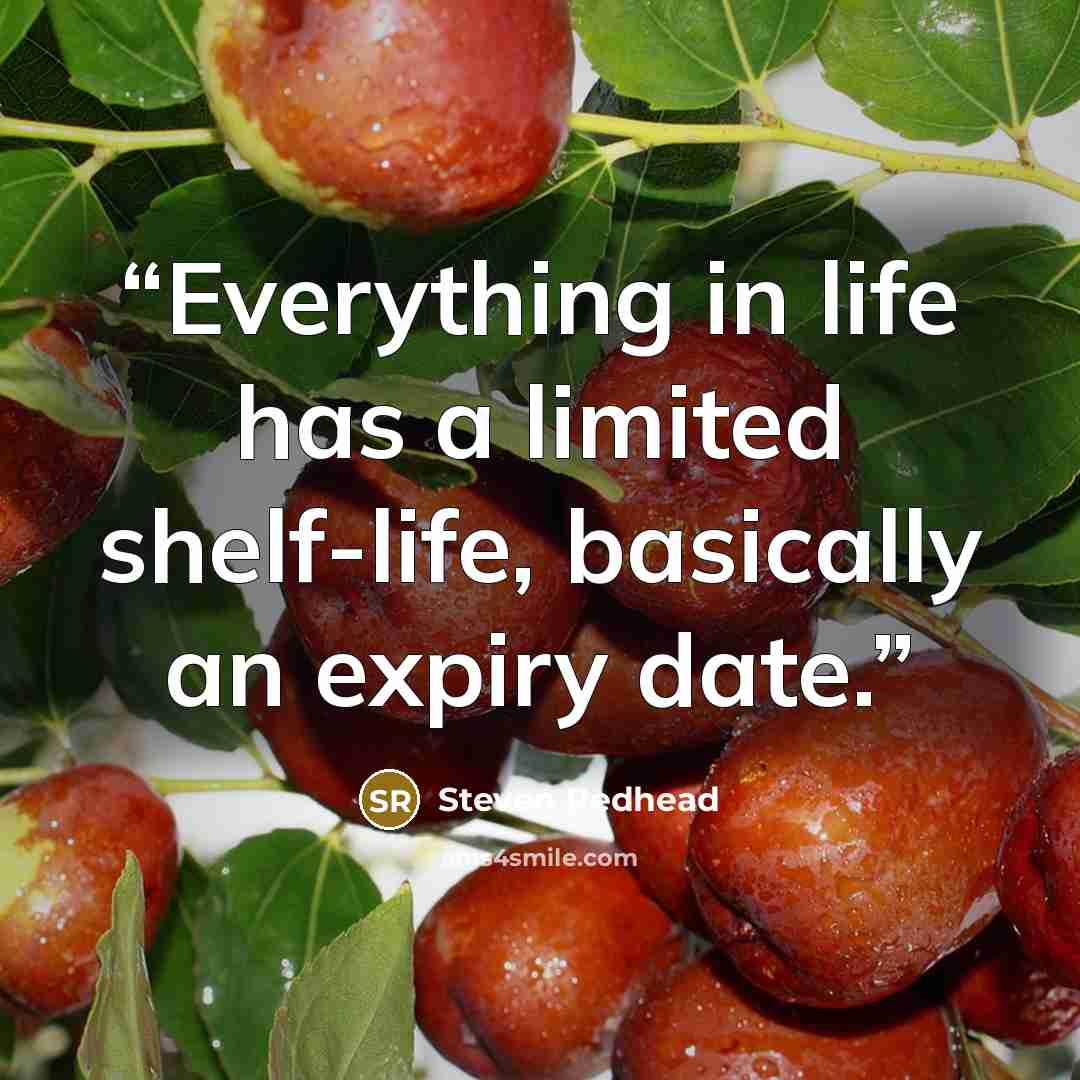 “Everything in life has a limited shelf-life, basically an expiry date.” quote by Steven Redhead