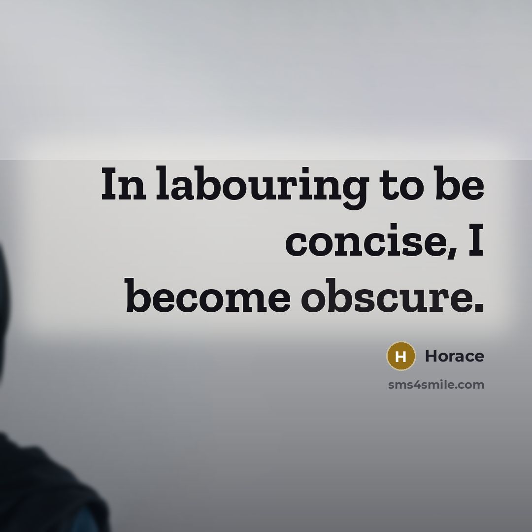 “In labouring to be concise, I become obscure.” quote by Horace
