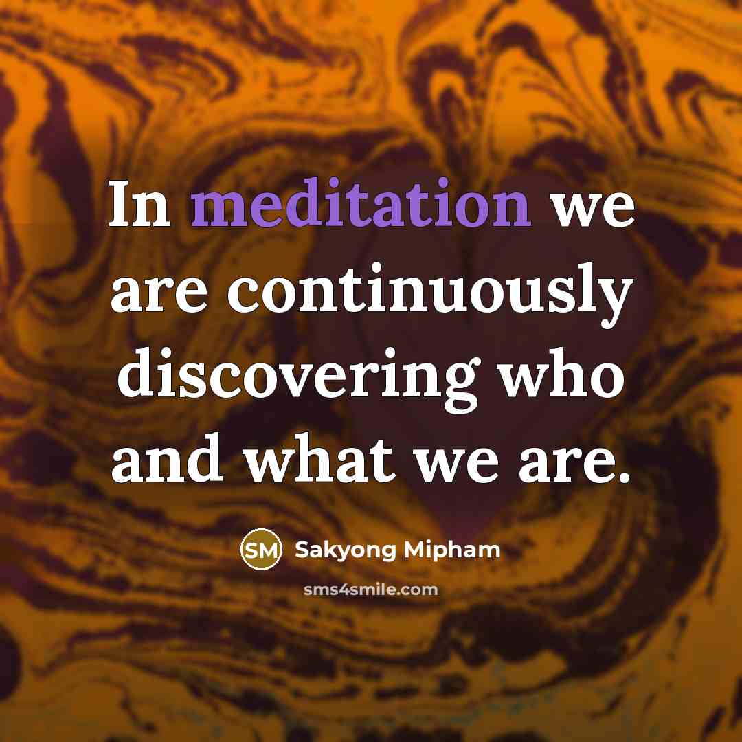 “In meditation we are continuously discovering who and what we are.” quote by Sakyong Mipham