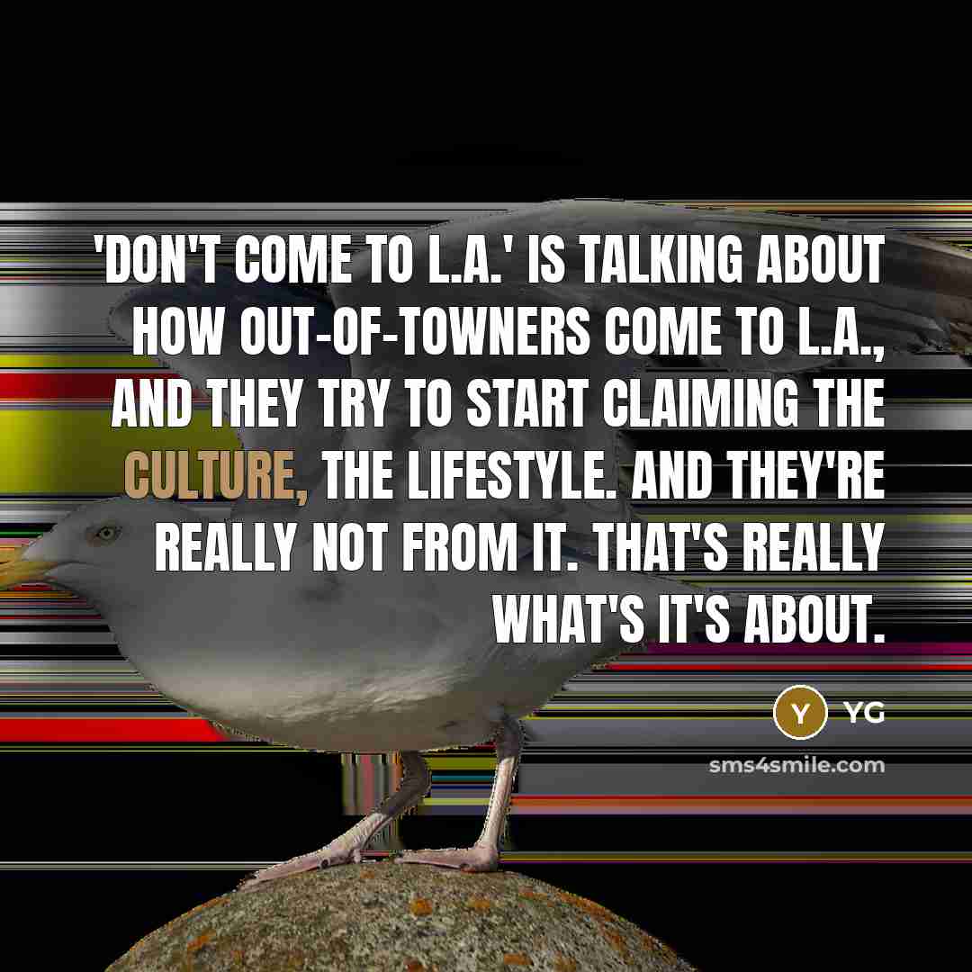 “'Don't Come to L.A.' is talking about how out-of-towners come to L.A., and they try to start claiming the culture, the lifestyle. And they're really not from it. That's really what's it's about.” quote by YG