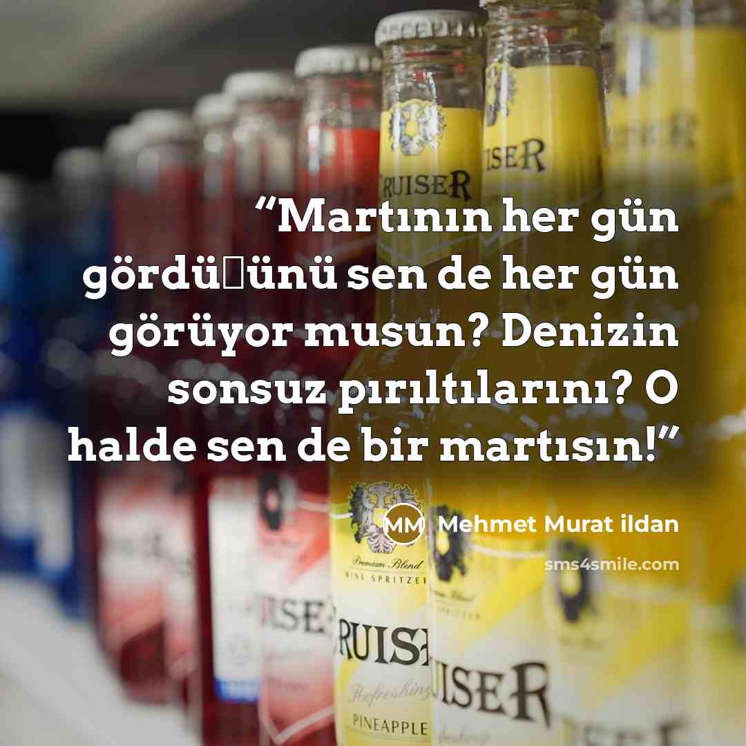 “Martının her gün gördüğünü sen de her gün görüyor musun? Denizin sonsuz pırıltılarını? O halde sen de bir martısın!” quote by Mehmet Murat ildan