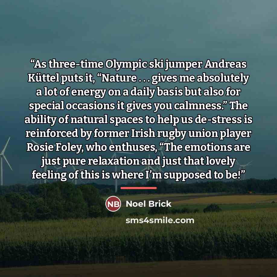 “As three-time Olympic ski jumper Andreas Küttel puts it, “Nature . . . gives me absolutely a lot of energy on a daily basis but also for special occasions it gives you calmness.” The ability of natural spaces to help us de-stress is reinforced by former Irish rugby union player Rosie Foley, who…” quote by Noel Brick