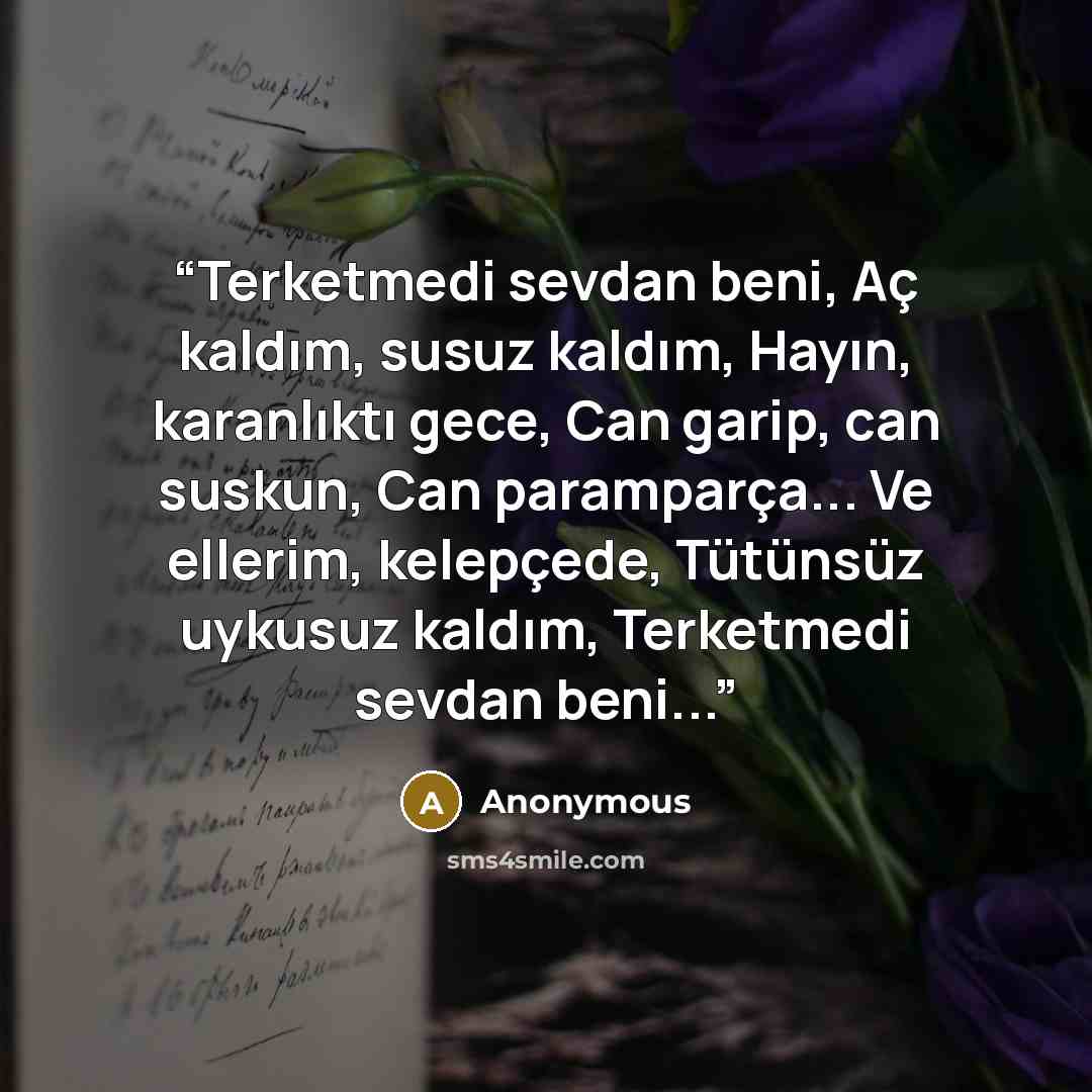 “Terketmedi sevdan beni, Aç kaldım, susuz kaldım, Hayın, karanlıktı gece, Can garip, can suskun, Can paramparça... Ve ellerim, kelepçede, Tütünsüz uykusuz kaldım, Terketmedi sevdan beni...” quote by Anonymous
