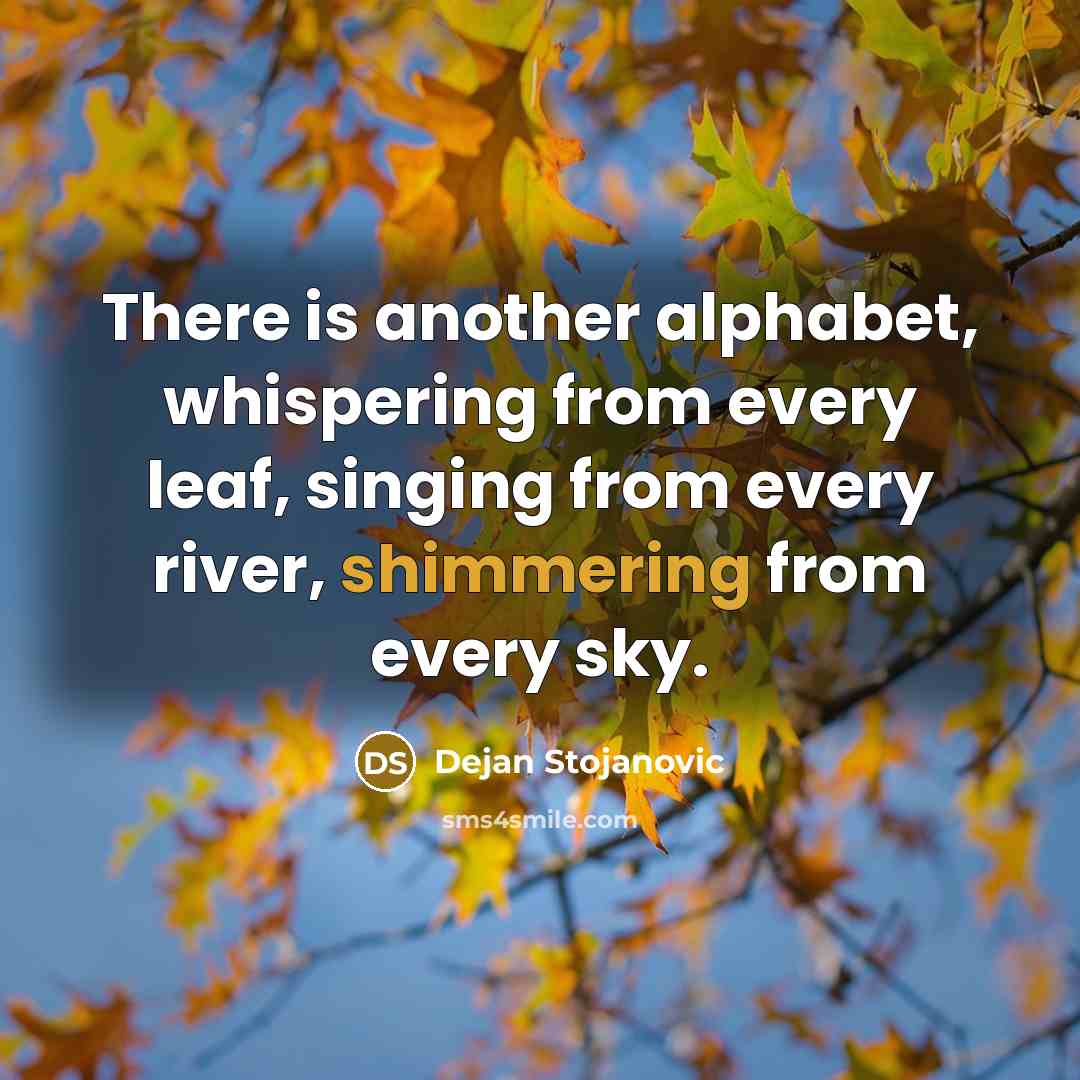 “There is another alphabet, whispering from every leaf, singing from every river, shimmering from every sky.” quote by Dejan Stojanovic