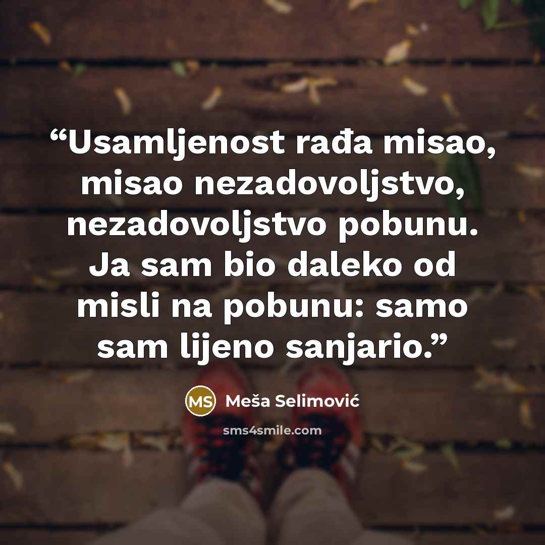 “Usamljenost rađa misao, misao nezadovoljstvo, nezadovoljstvo pobunu. Ja sam bio daleko od misli na pobunu: samo sam lijeno sanjario.” quote by Meša Selimović