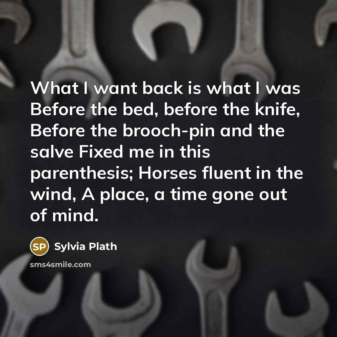“What I want back is what I was Before the bed, before the knife, Before the brooch-pin and the salve Fixed me in this parenthesis; Horses fluent in the wind, A place, a time gone out of mind.” quote by Sylvia Plath