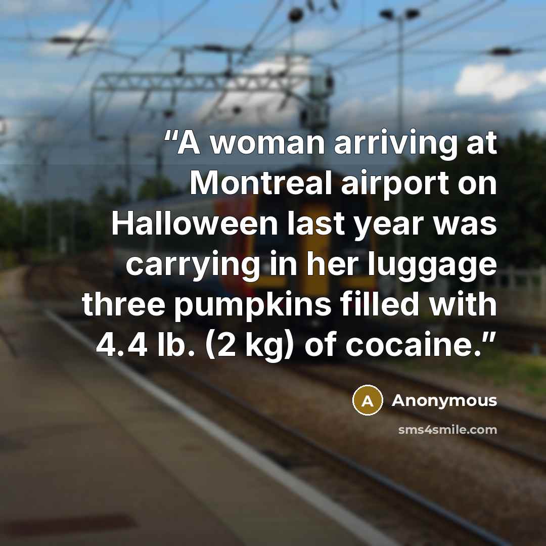 “A woman arriving at Montreal airport on Halloween last year was carrying in her luggage three pumpkins filled with 4.4 lb. (2 kg) of cocaine.” quote by Anonymous