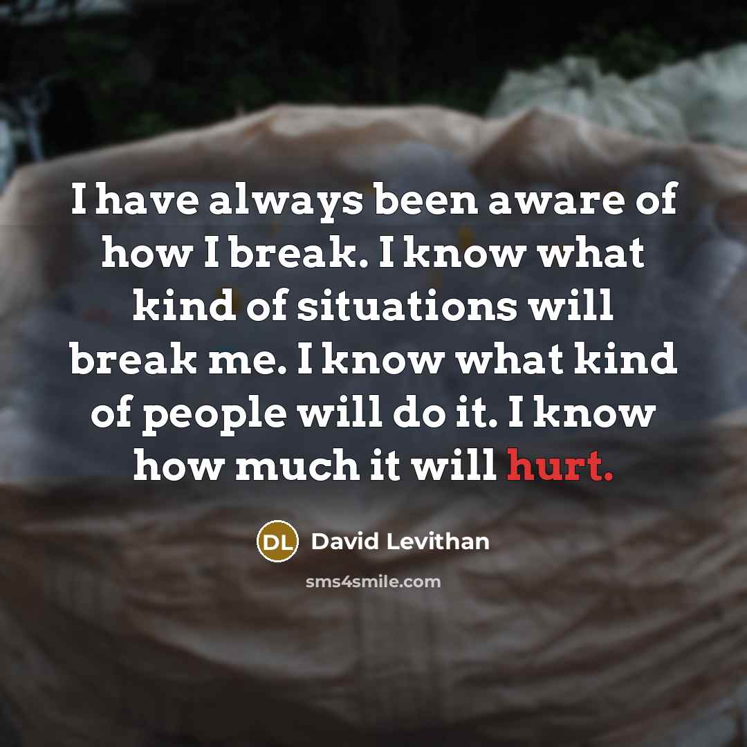 “I have always been aware of how I break. I know what kind of situations will break me. I know what kind of people will do it. I know how much it will hurt.” quote by David Levithan