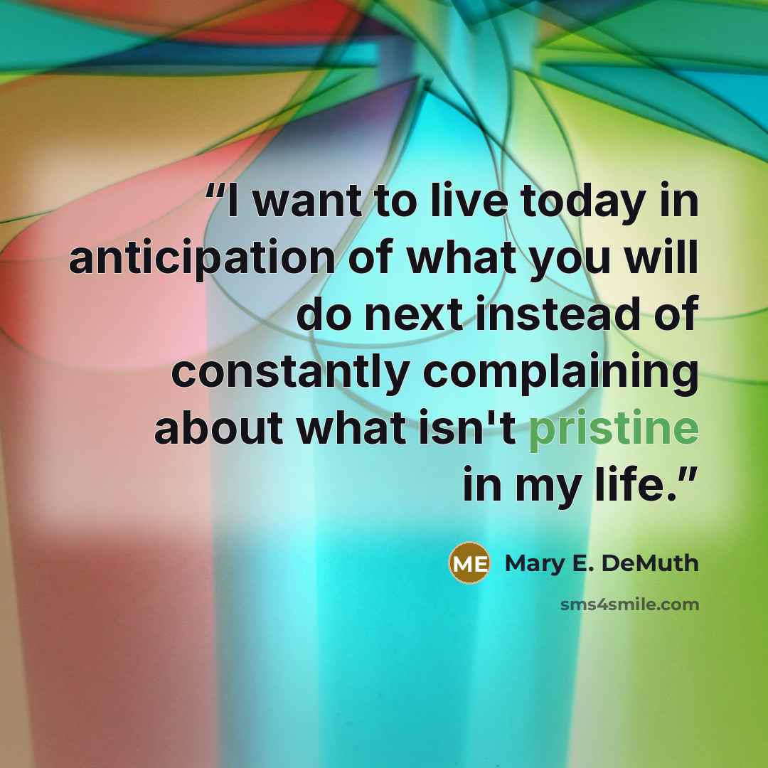 “I want to live today in anticipation of what you will do next instead of constantly complaining about what isn't pristine in my life.” quote by Mary E. DeMuth