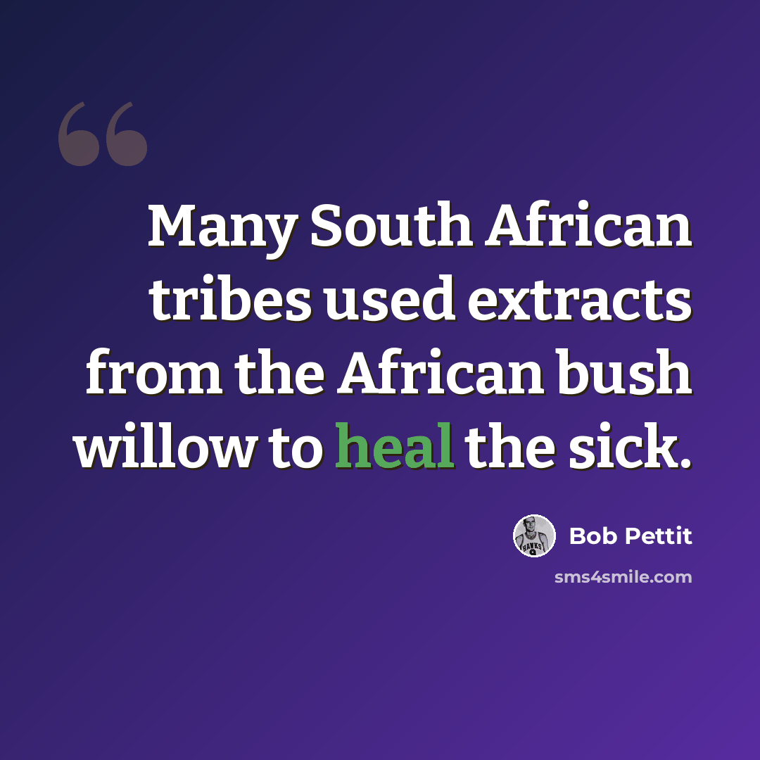 “Many South African tribes used extracts from the African bush willow to heal the sick.” quote by Bob Pettit
