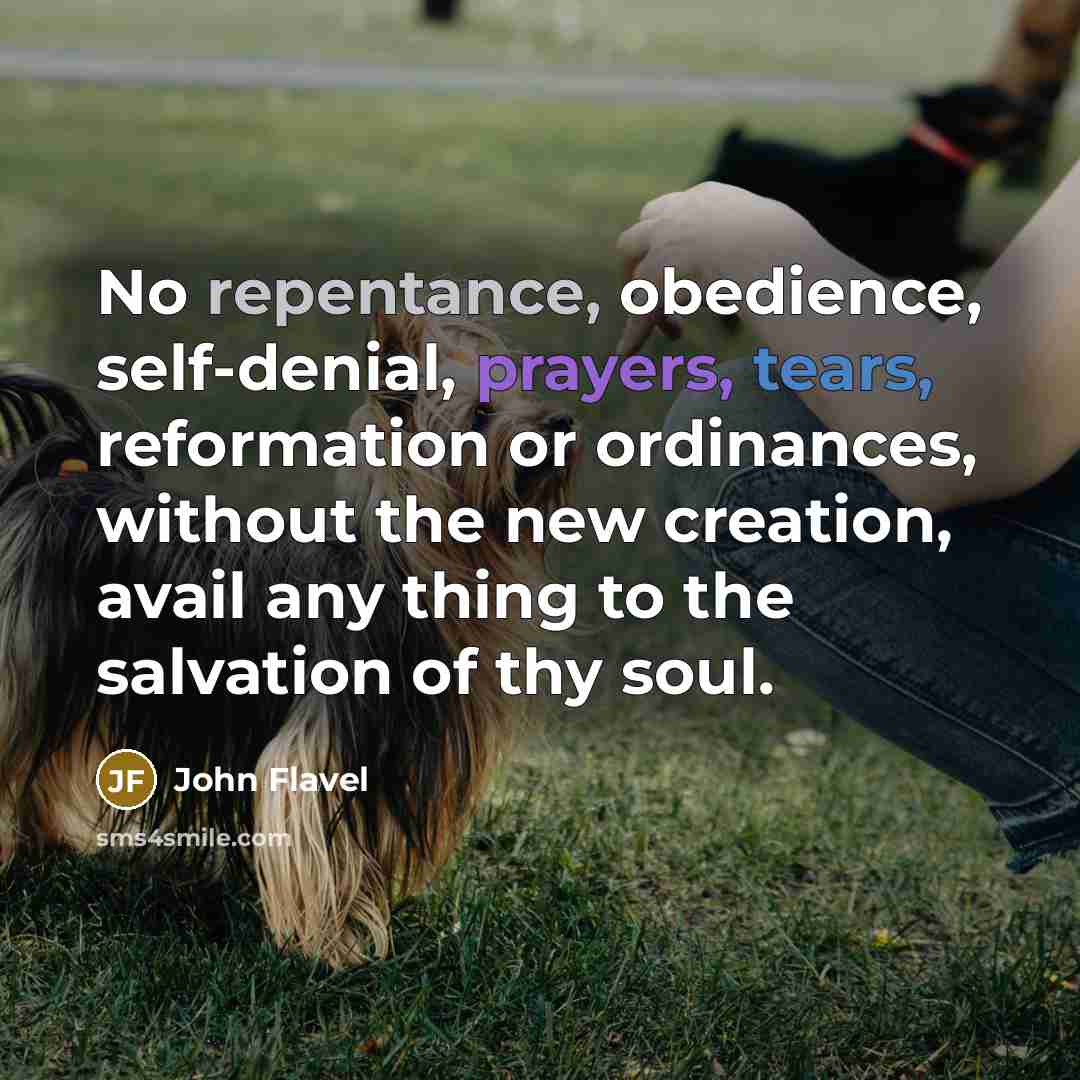 “No repentance, obedience, self-denial, prayers, tears, reformation or ordinances, without the new creation, avail any thing to the salvation of thy soul.” quote by John Flavel