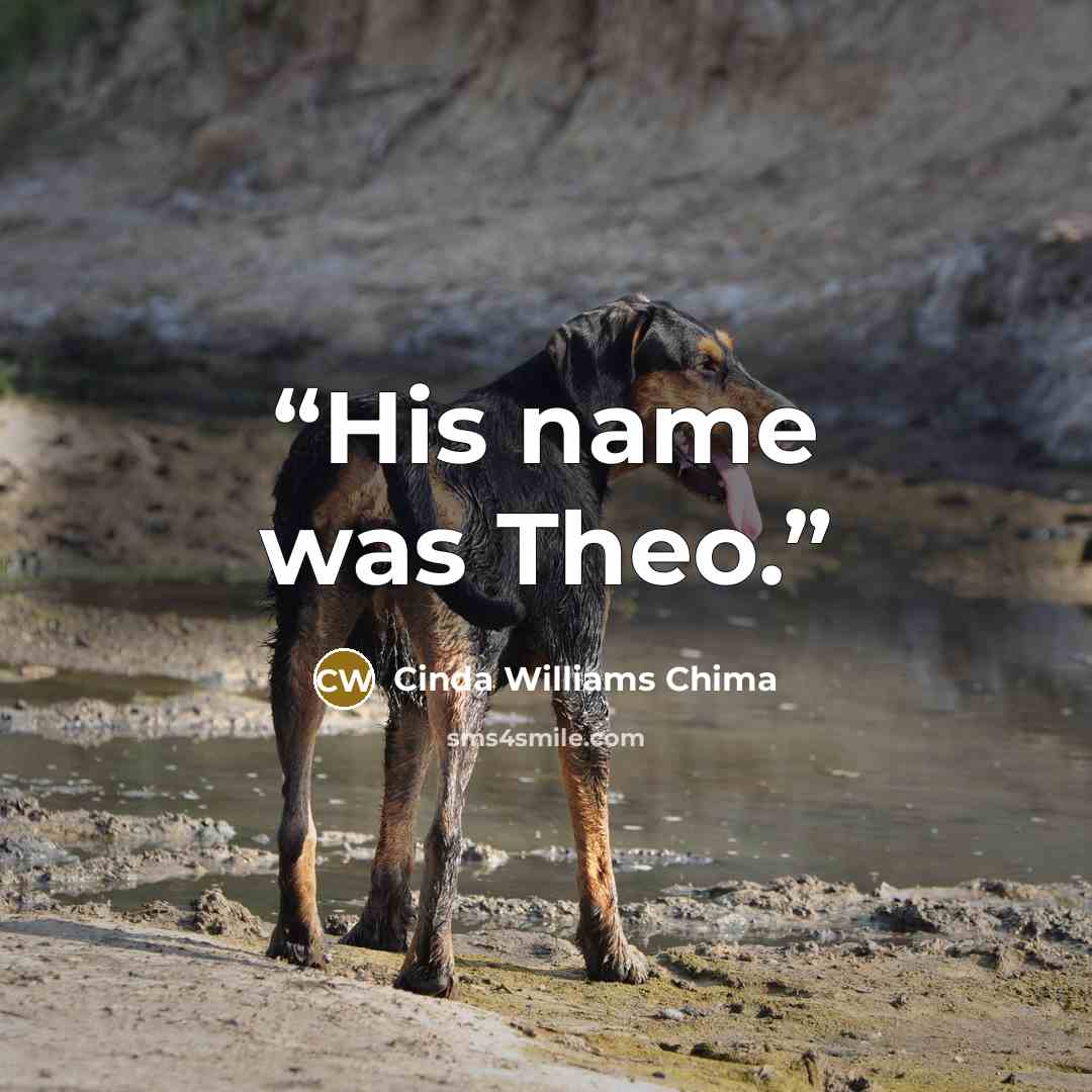 “His name was Theo.” quote by Cinda Williams Chima