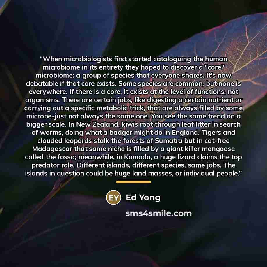 “When microbiologists first started cataloguing the human microbiome in its entirety they hoped to discover a "core" microbiome: a group of species that everyone shares. It's now debatable if that core exists. Some species are common, but none is everywhere. If there is a core, it exists at the…” quote by Ed Yong