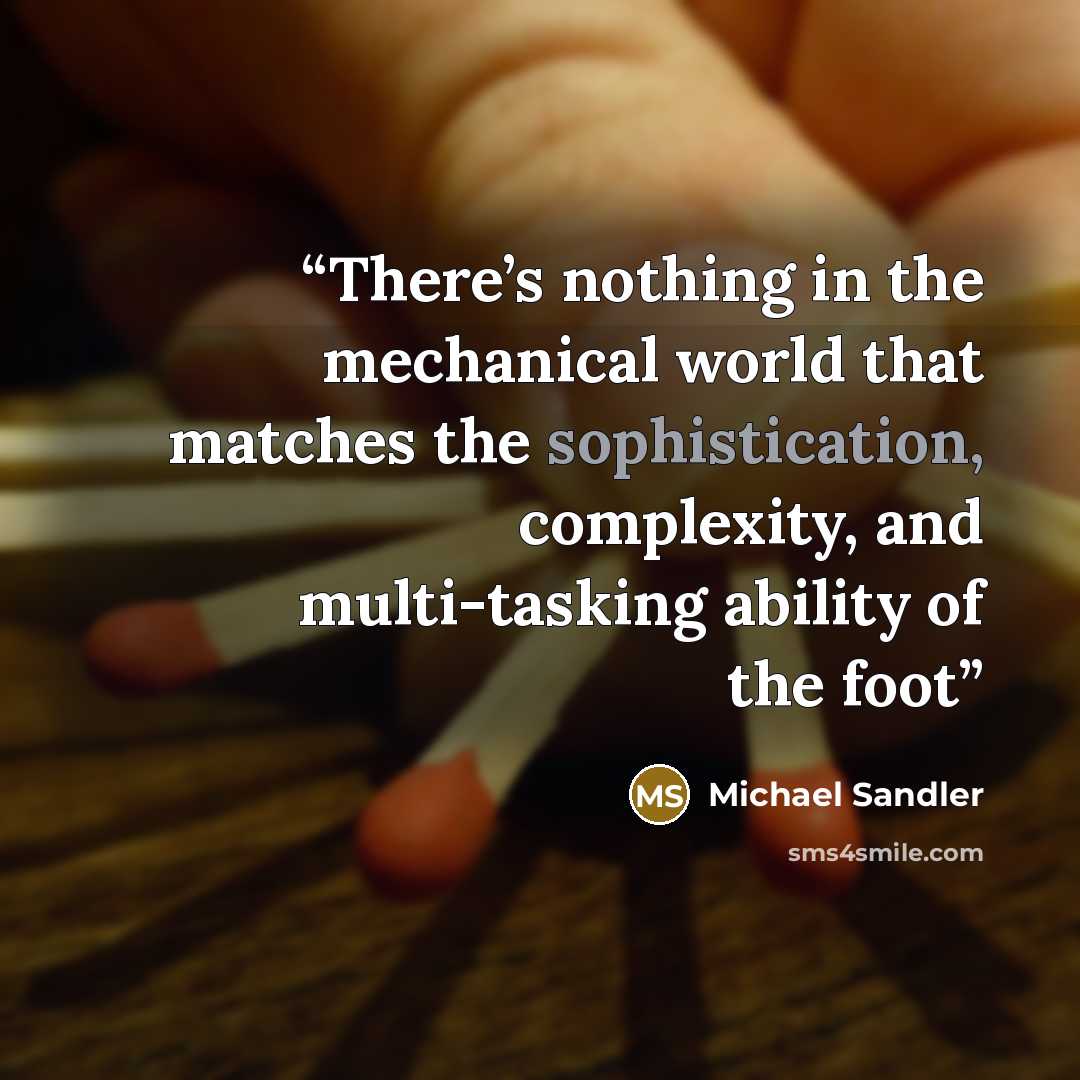 “There’s nothing in the mechanical world that matches the sophistication, complexity, and multi-tasking ability of the foot” quote by Michael Sandler