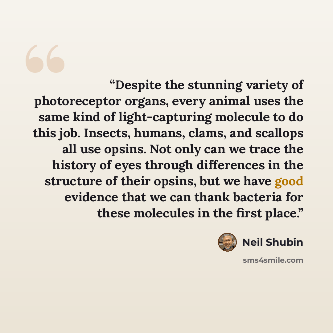“Despite the stunning variety of photoreceptor organs, every animal uses the same kind of light-capturing molecule to do this job. Insects, humans, clams, and scallops all use opsins. Not only can we trace the history of eyes through differences in the structure of their opsins, but we have good…” quote by Neil Shubin