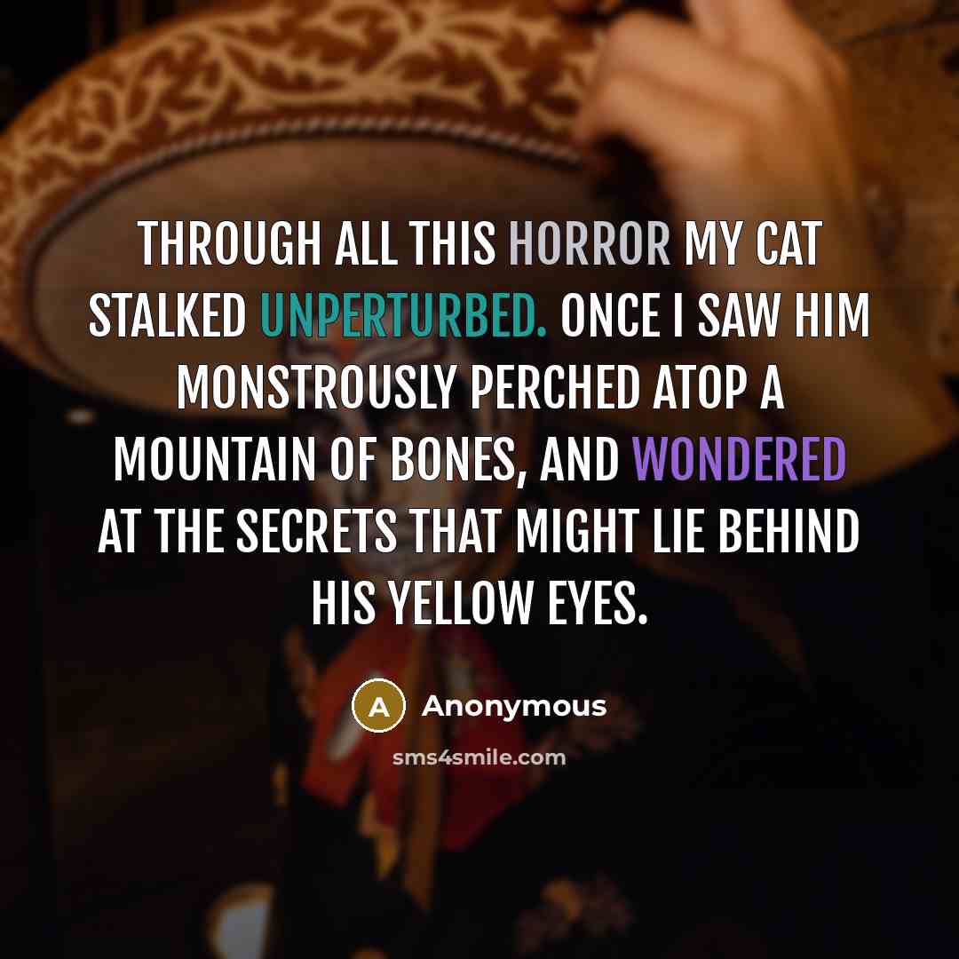 “Through all this horror my cat stalked unperturbed. Once I saw him monstrously perched atop a mountain of bones, and wondered at the secrets that might lie behind his yellow eyes.” quote by Anonymous