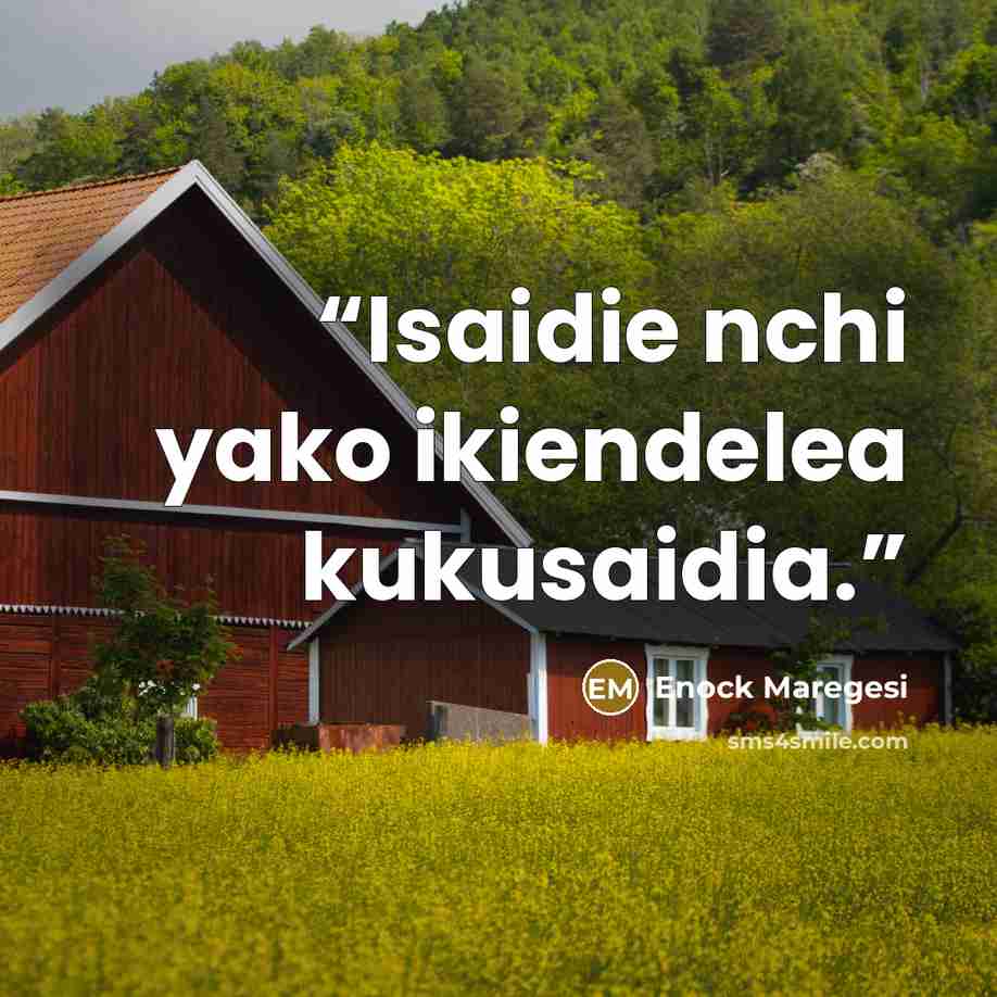 “Isaidie nchi yako ikiendelea kukusaidia.” quote by Enock Maregesi