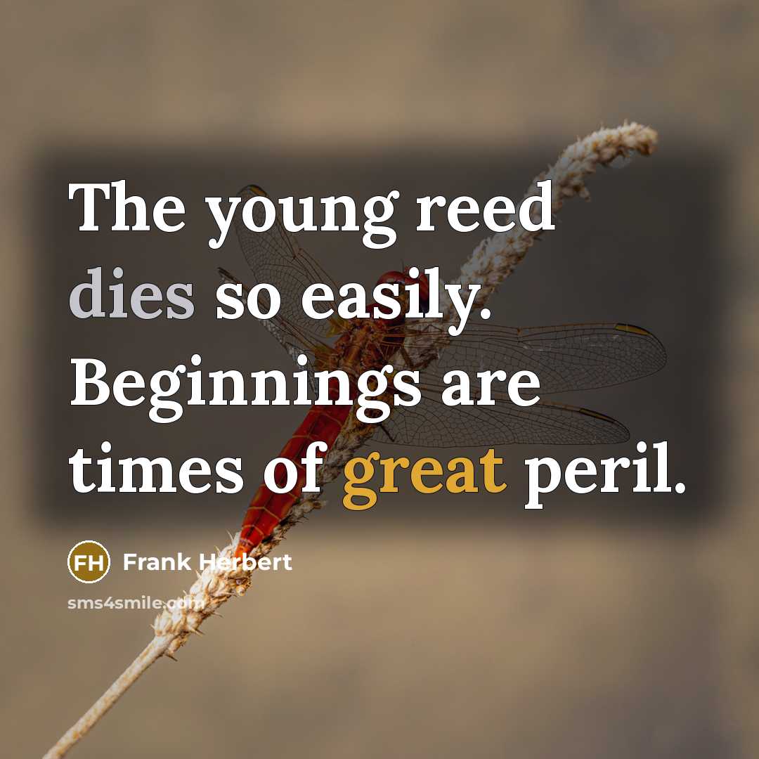 “The young reed dies so easily. Beginnings are times of great peril.” quote by Frank Herbert