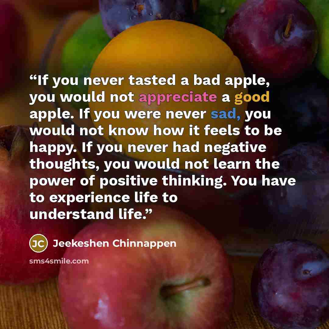 “If you never tasted a bad apple, you would not appreciate a good apple. If you were never sad, you would not know how it feels to be happy. If you never had negative thoughts, you would not learn the power of positive thinking. You have to experience life to understand life.” quote by Jeekeshen Chinnappen