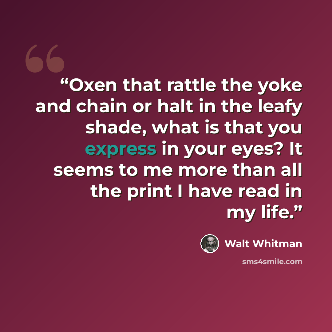 “Oxen that rattle the yoke and chain or halt in the leafy shade, what is that you express in your eyes? It seems to me more than all the print I have read in my life.” quote by Walt Whitman