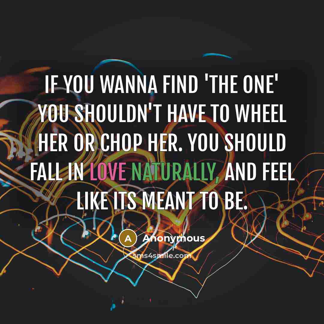 “If you wanna find 'the one' you shouldn't have to wheel her or chop her. You should fall in love naturally, and feel like its meant to be.” quote by Anonymous