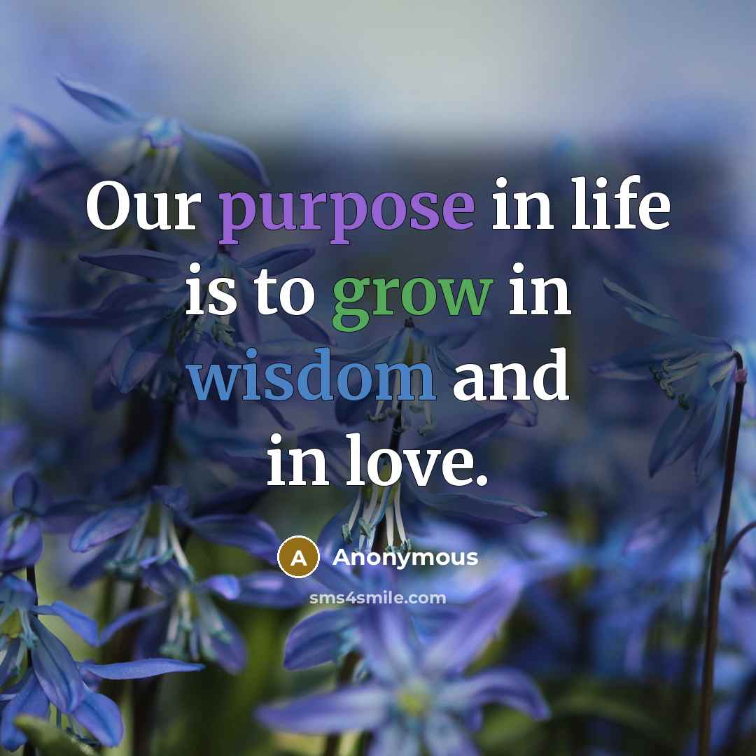 “Our purpose in life is to grow in wisdom and in love.” quote by Anonymous