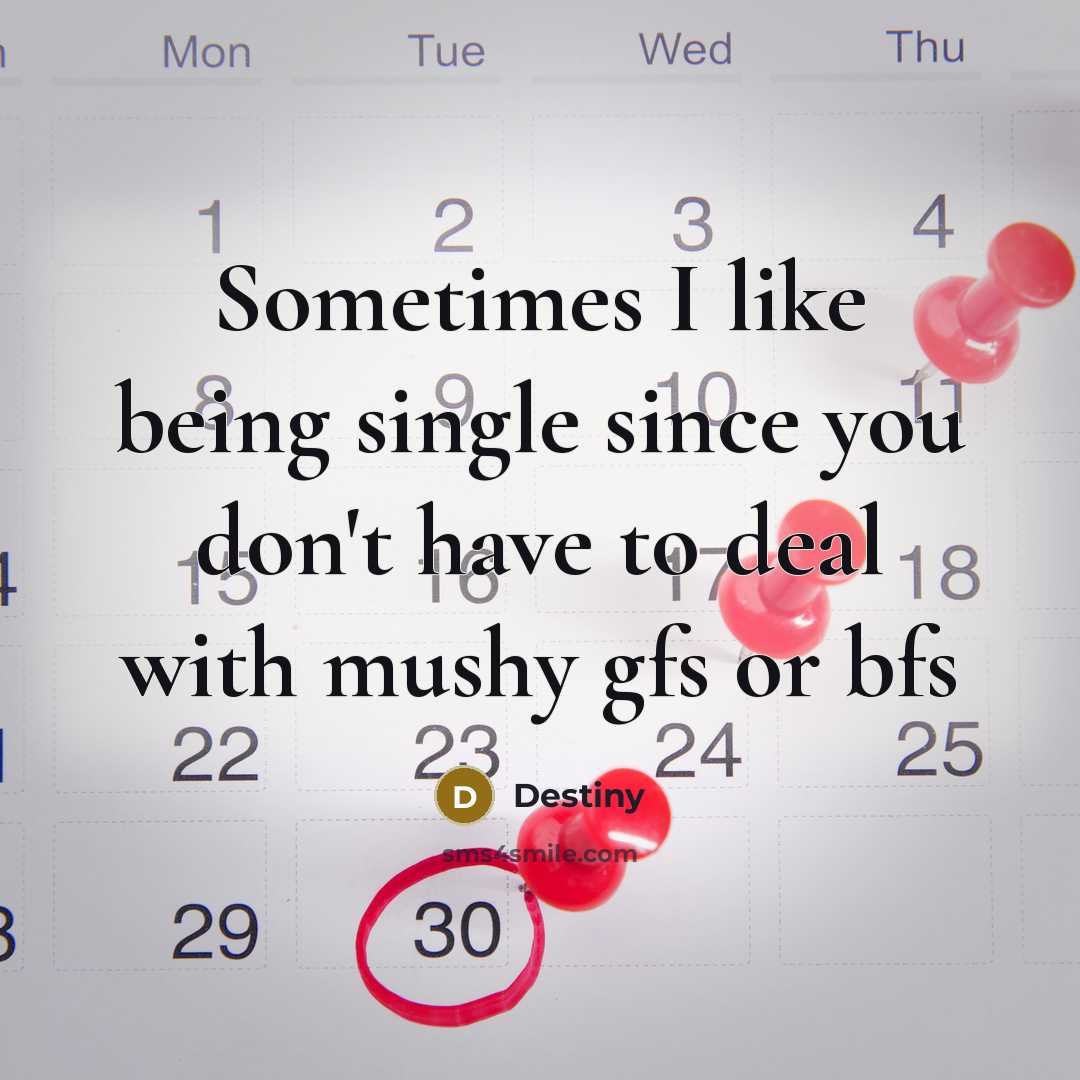 “Sometimes I like being single since you don't have to deal with mushy gfs or bfs” quote by Destiny