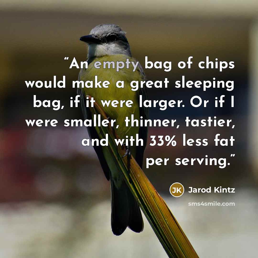 “An empty bag of chips would make a great sleeping bag, if it were larger. Or if I were smaller, thinner, tastier, and with 33% less fat per serving.” quote by Jarod Kintz