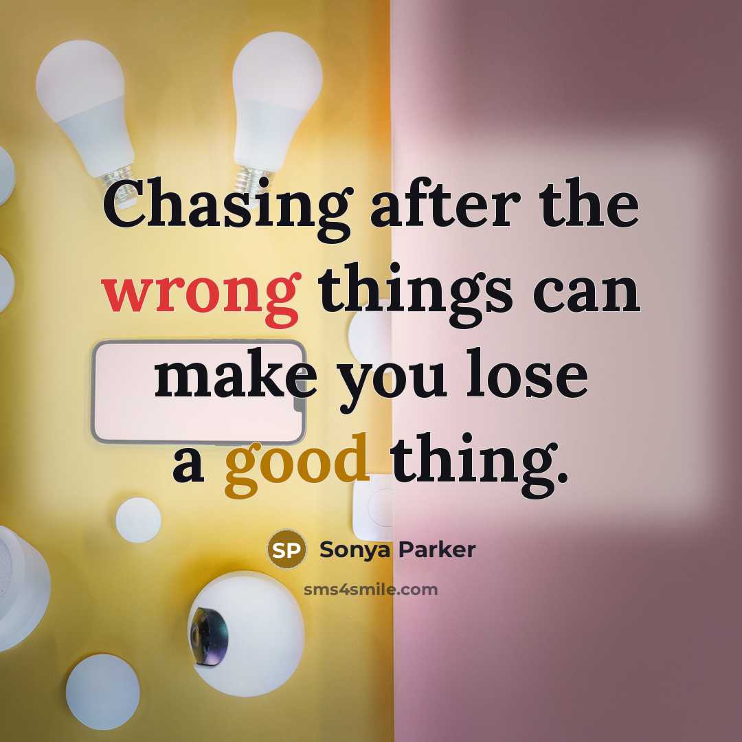 “Chasing after the wrong things can make you lose a good thing.” quote by SONYA PARKER