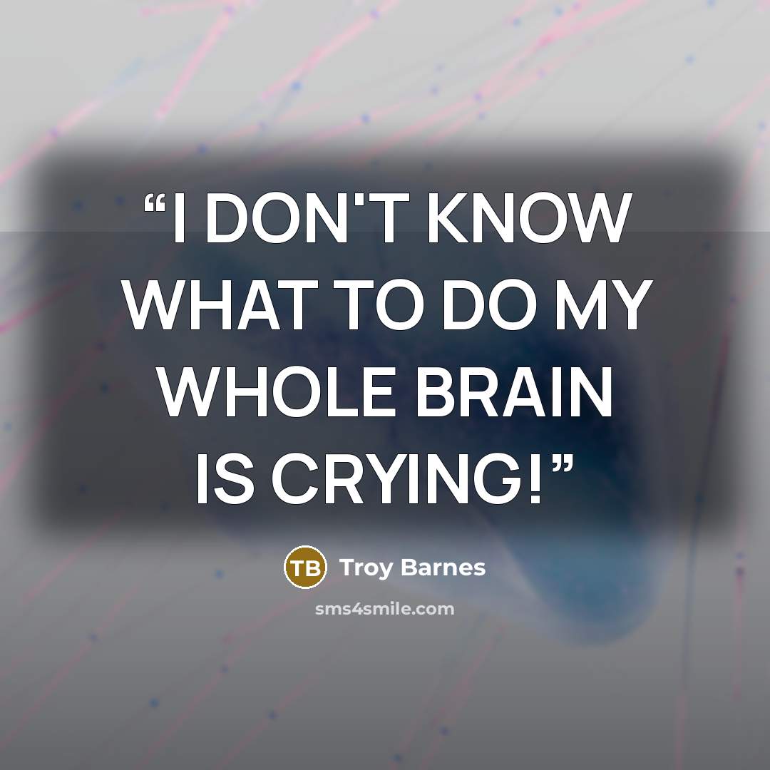 “I DON'T KNOW WHAT TO DO MY WHOLE BRAIN IS CRYING!” quote by Troy Barnes