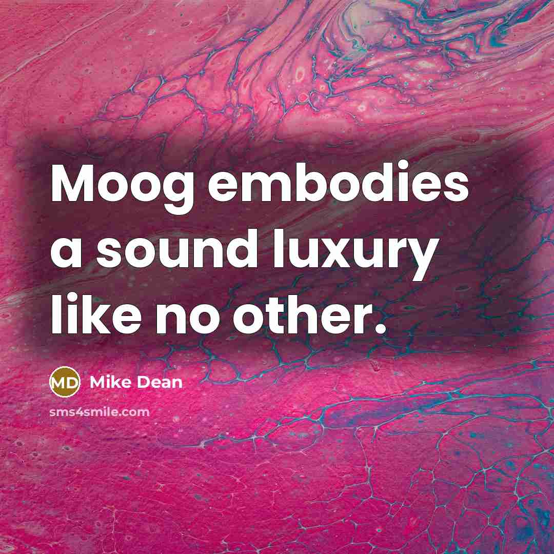 “Moog embodies a sound luxury like no other.” quote by Mike Dean
