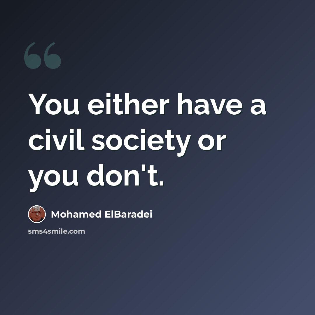 “You either have a civil society or you don't.” quote by Mohamed ElBaradei