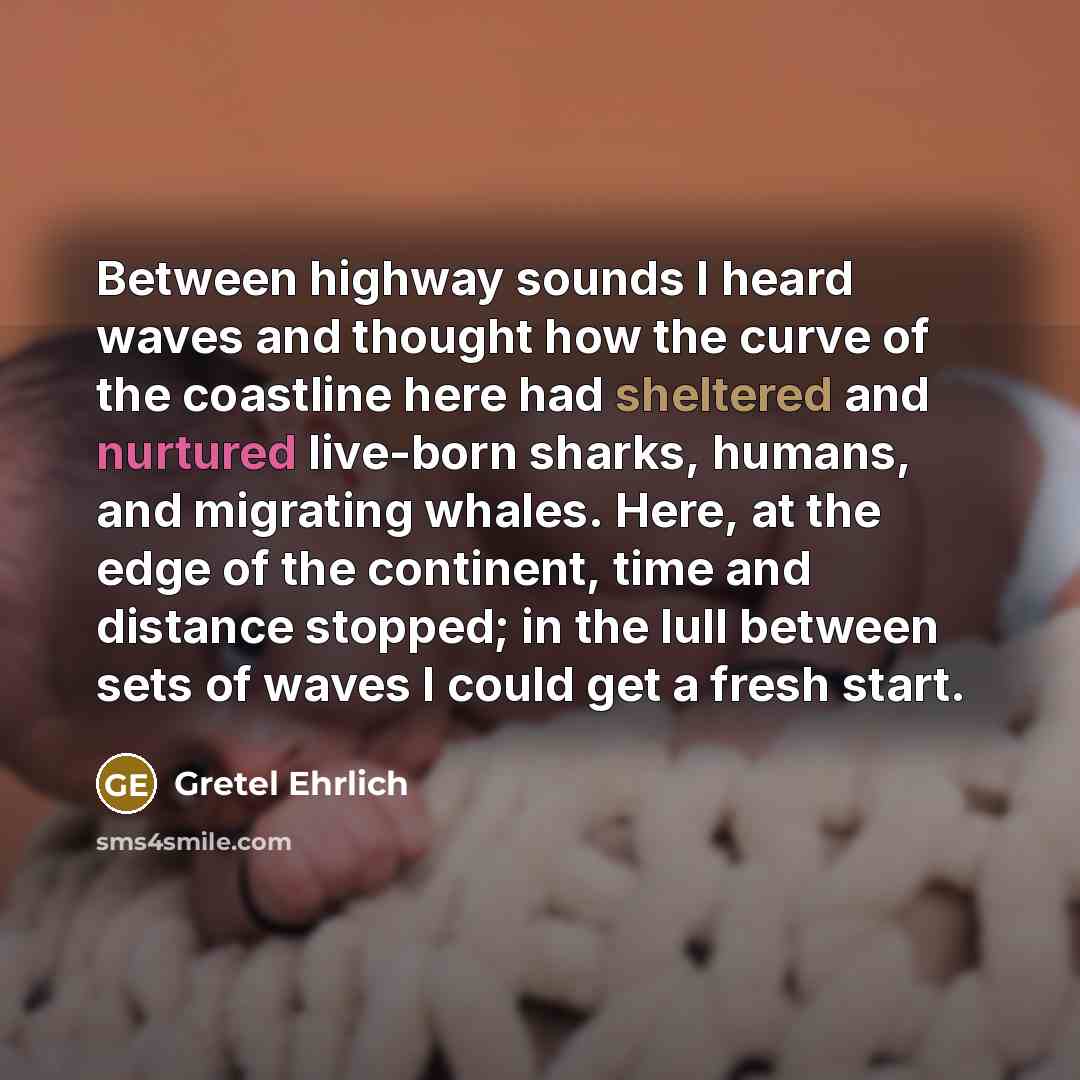 “Between highway sounds I heard waves and thought how the curve of the coastline here had sheltered and nurtured live-born sharks, humans, and migrating whales. Here, at the edge of the continent, time and distance stopped; in the lull between sets of waves I could get a fresh start.” quote by Gretel Ehrlich
